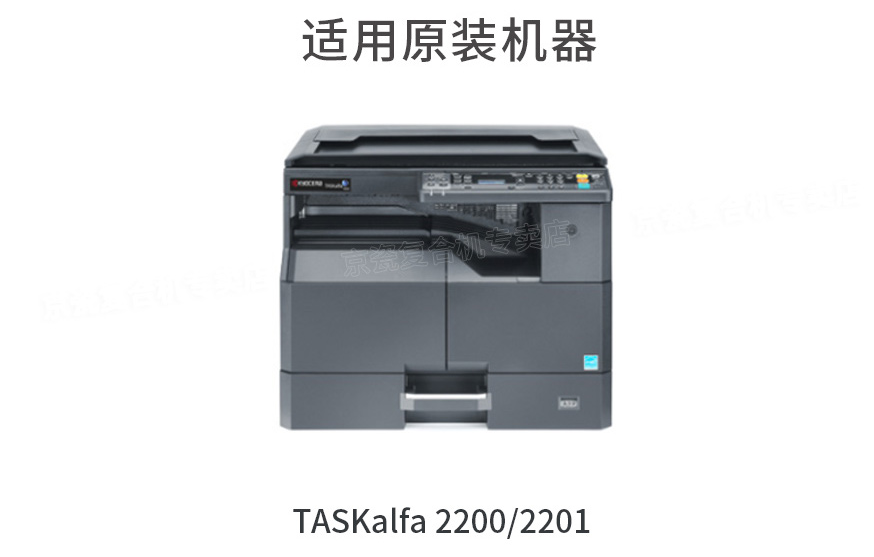 33333.png